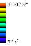 calibration.jpg (2696 bytes)