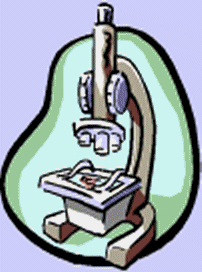 microme3.gif (665592 bytes)