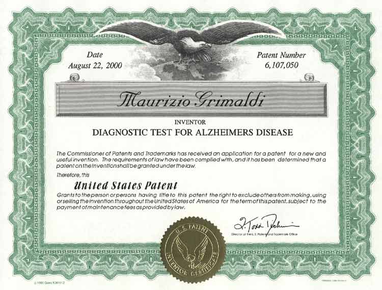 patent.jpg (51933 bytes)
